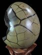 Septarian Dragon Egg Geode - Black Crystals #68111-3